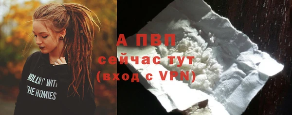 прущие грибы Абаза