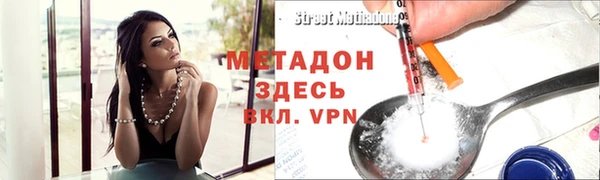 прущие грибы Абаза