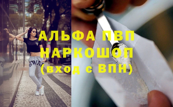 прущие грибы Абаза