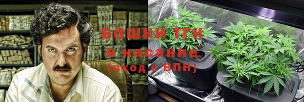прущий лед Алзамай