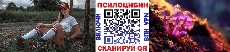 Псилоцибиновые грибы Psilocybine cubensis  Раменское 